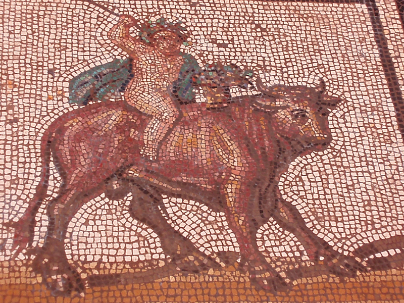 P1010049